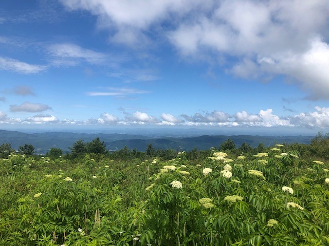 Nature