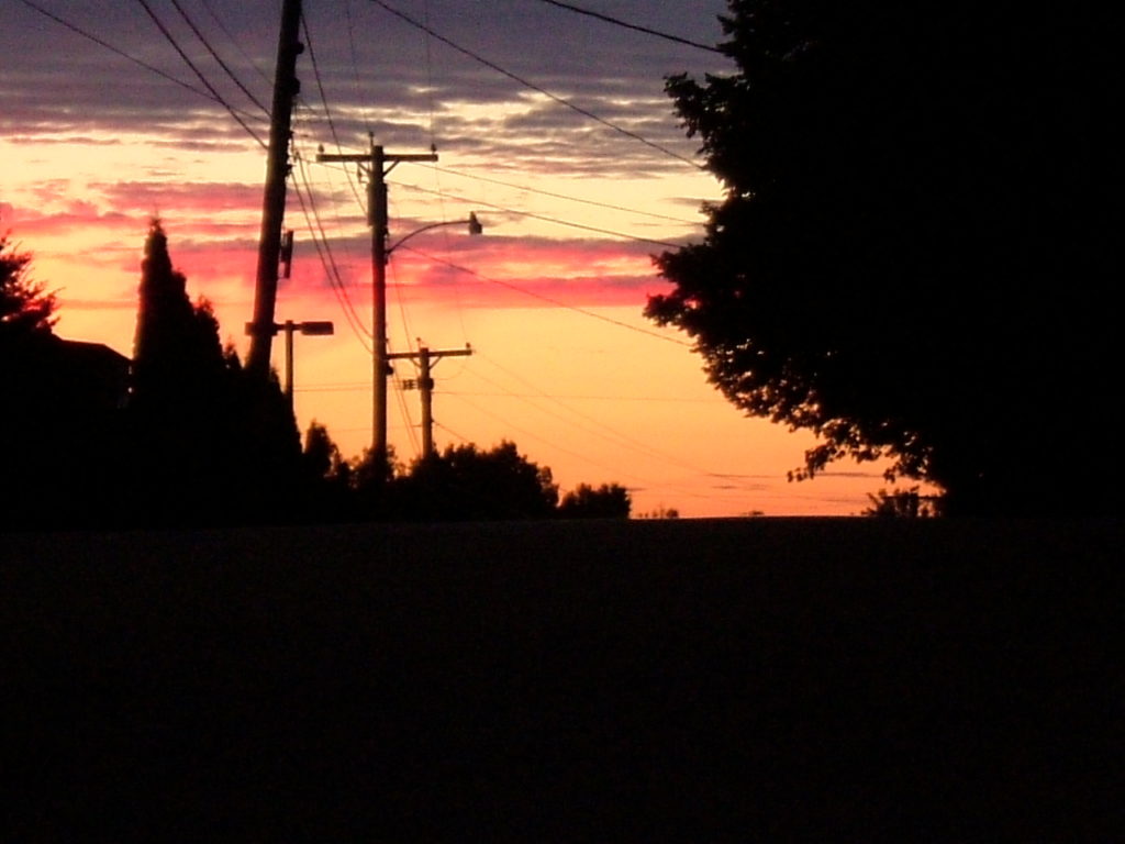Nature