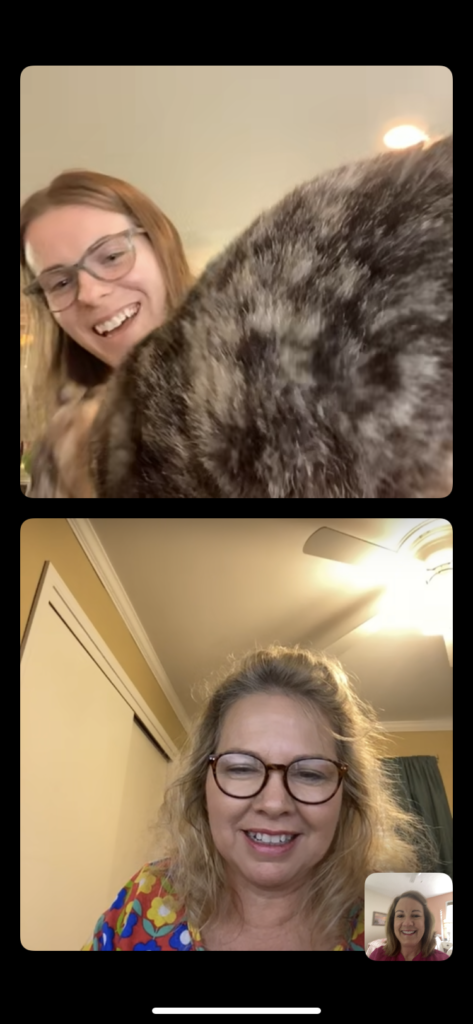 Animals