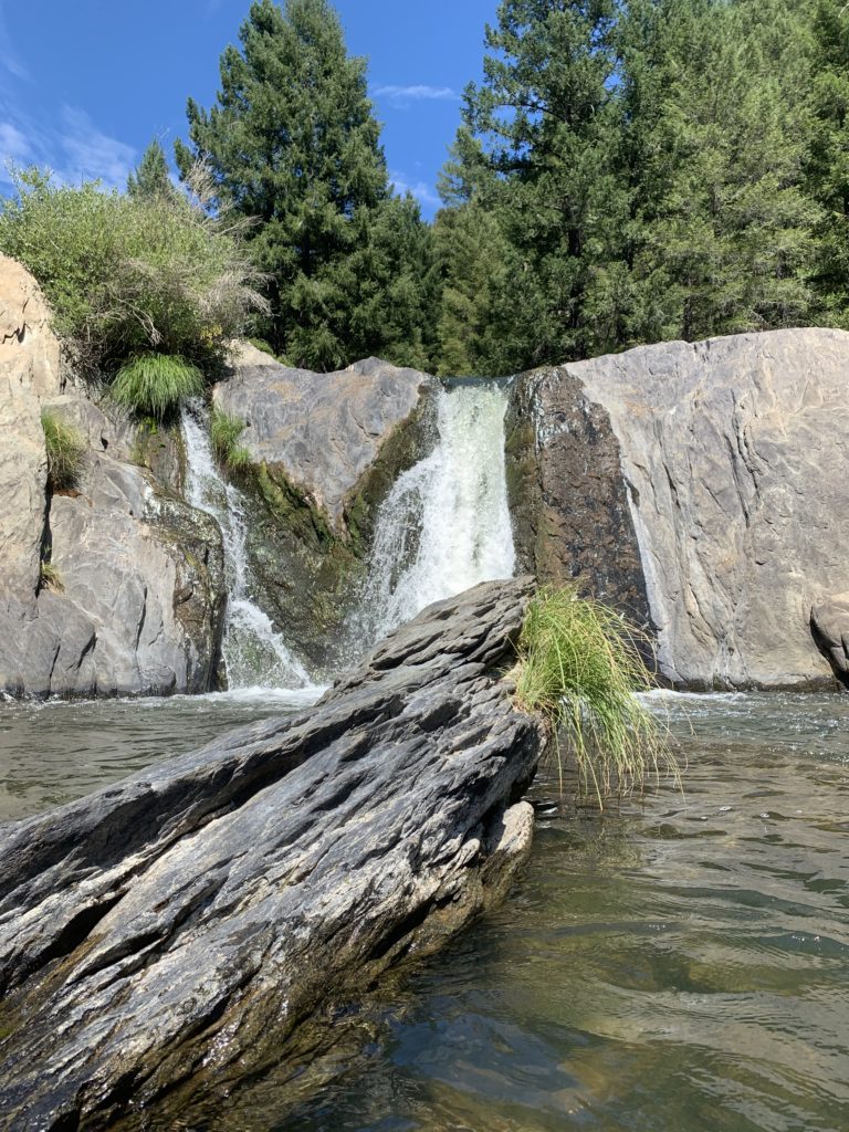 Nature