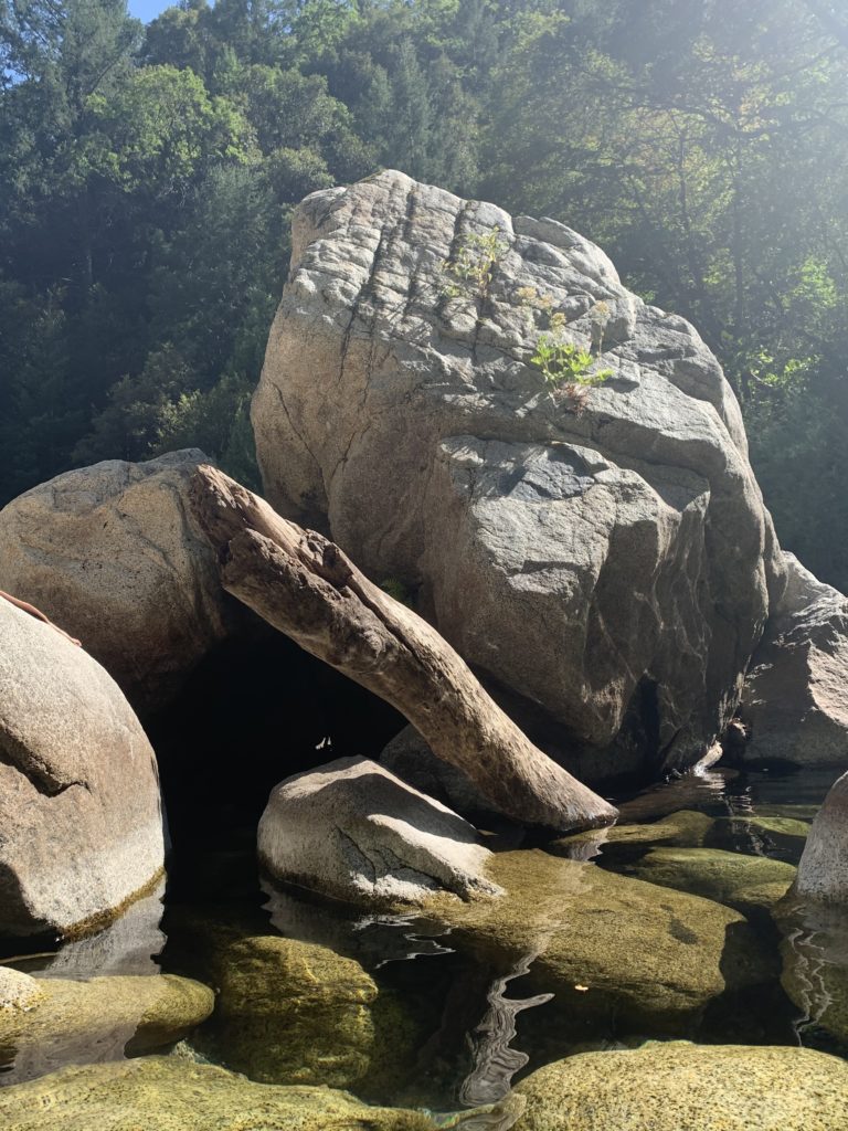 Nature